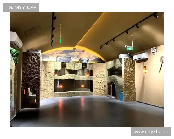 探秘皇家社会俱乐部百年荣耀与现代足球精神的传承之路 探秘皇家社会俱乐部百年荣耀与现代足球精神的传承之路