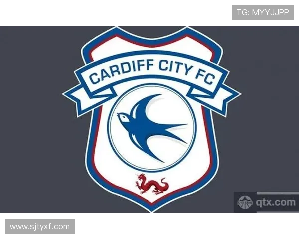 卡迪夫城俱乐部最新动态与球队阵容升级全景深度报道解析热点追踪